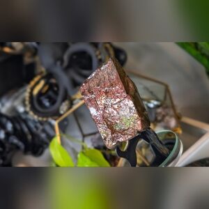 Alberta Ammolite Mineral Fossil Specimen